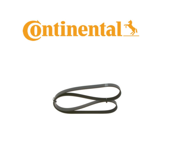 V KAYIŞI CONTINENTAL - 55202621 - 6PK1318